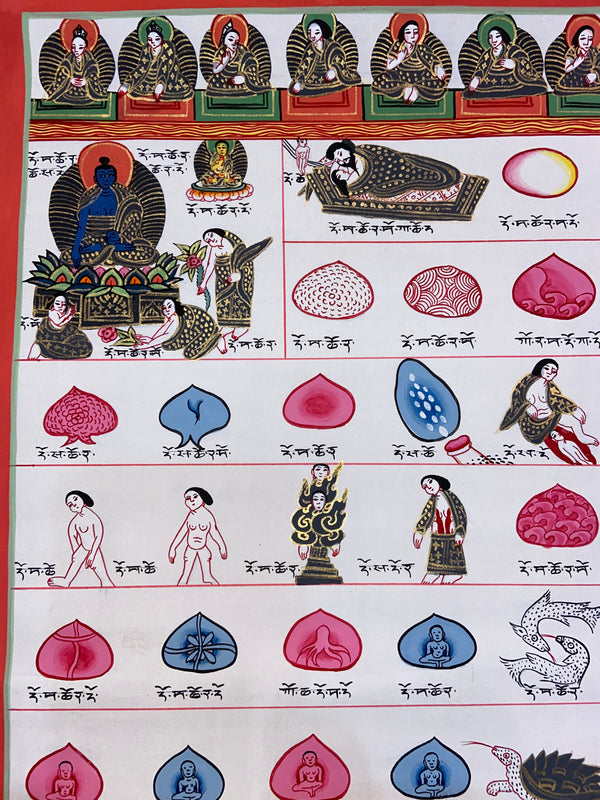 Tibetan Medical Thangka - Human Birth Cycle