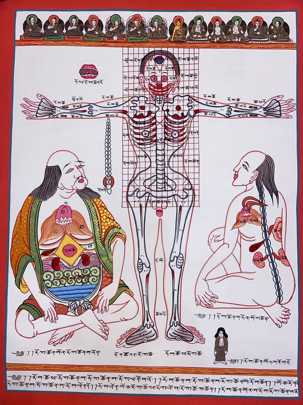 Human Body Anatomy Thangka