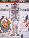 Human Body Anatomy Thangka