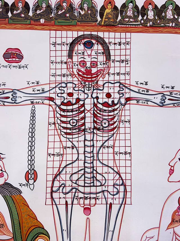 Human Body Anatomy Thangka