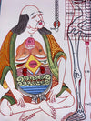 Human Body Anatomy Thangka