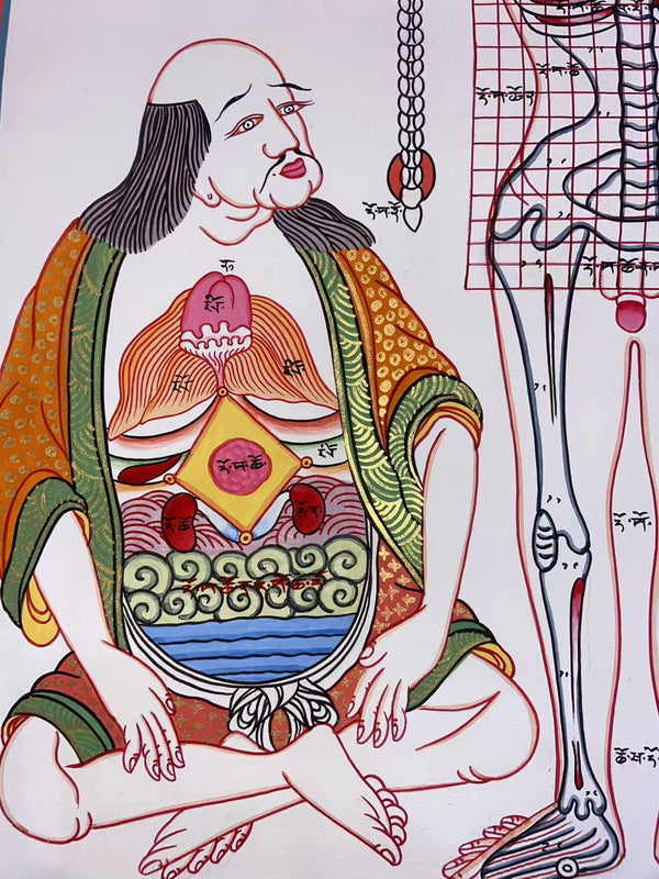 Human Body Anatomy Thangka