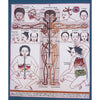 Human Body Anatomy Thangka