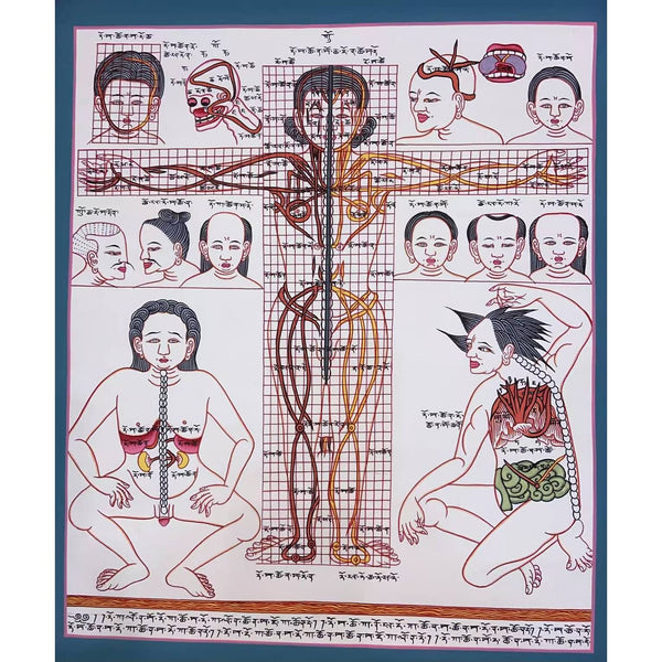 Human Body Anatomy Thangka