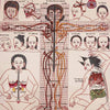 Human Body Anatomy Thangka