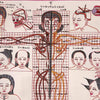 Human Body Anatomy Thangka
