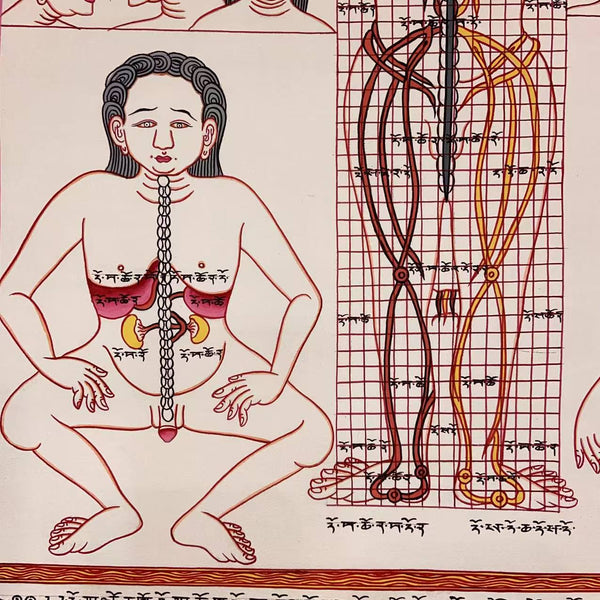 Human Body Anatomy Thangka