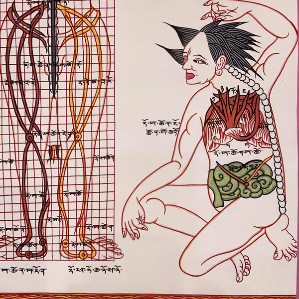 Human Body Anatomy Thangka