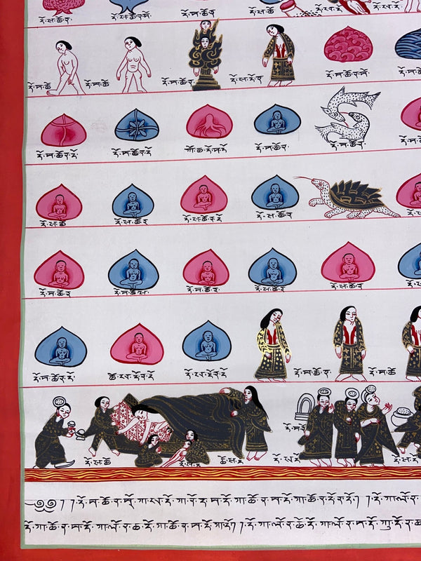 Tibetan Medical Thangka - Human Birth Cycle - Art Of Tibet