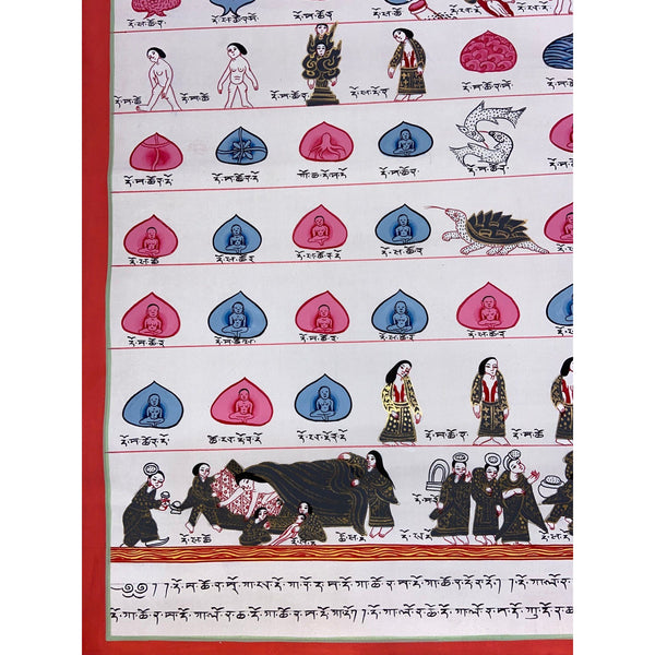 Tibetan Medical Thangka - Human Birth Cycle - Art Of Tibet