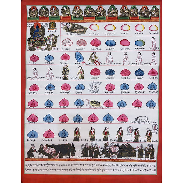 Tibetan Medical Thangka - Human Birth Cycle - Art Of Tibet