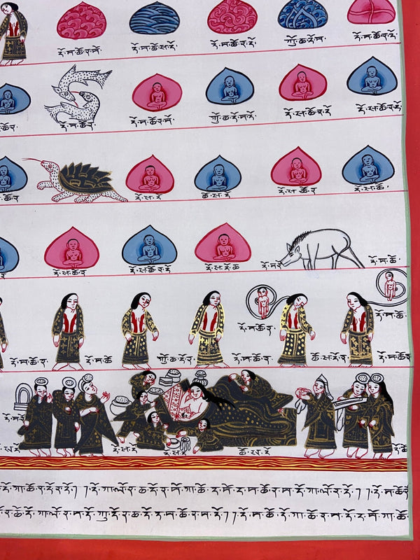 Tibetan Medical Thangka - Human Birth Cycle - Art Of Tibet
