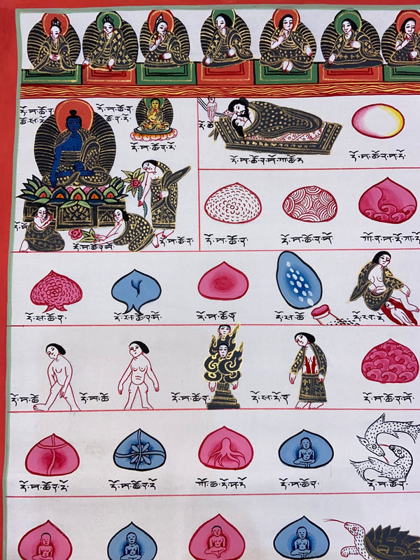 Tibetan Medical Thangka - Human Birth Cycle - Art Of Tibet