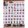 Tibetan Medical Thangka - Human Birth Cycle - Art Of Tibet