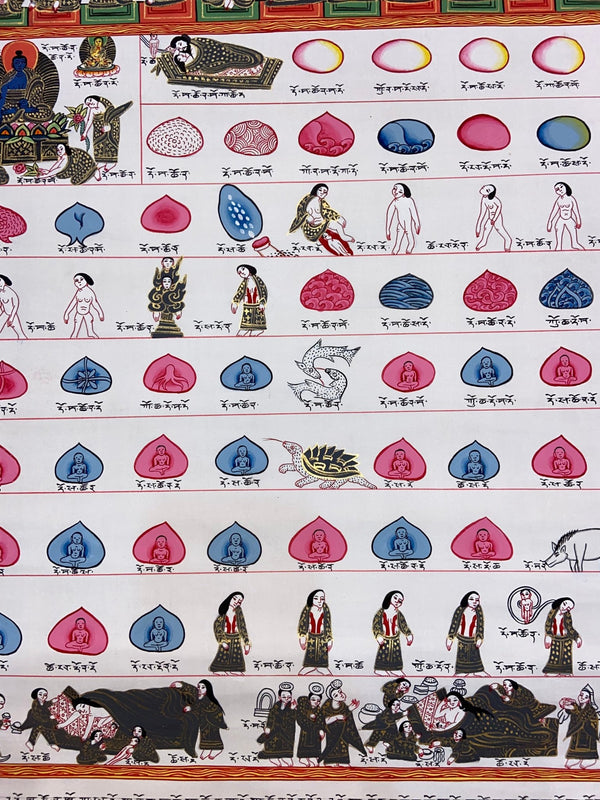 Tibetan Medical Thangka - Human Birth Cycle - Art Of Tibet