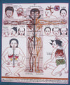 Human Body Anatomy Thangka
