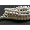 Naga Shell Spiritual Awakening Mala
