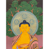 Shakyamuni Buddha Thangka - Art Of Tibet